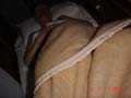 DSC01142